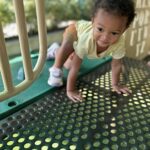 463708237_1117854277009045_6237903926764524747_n